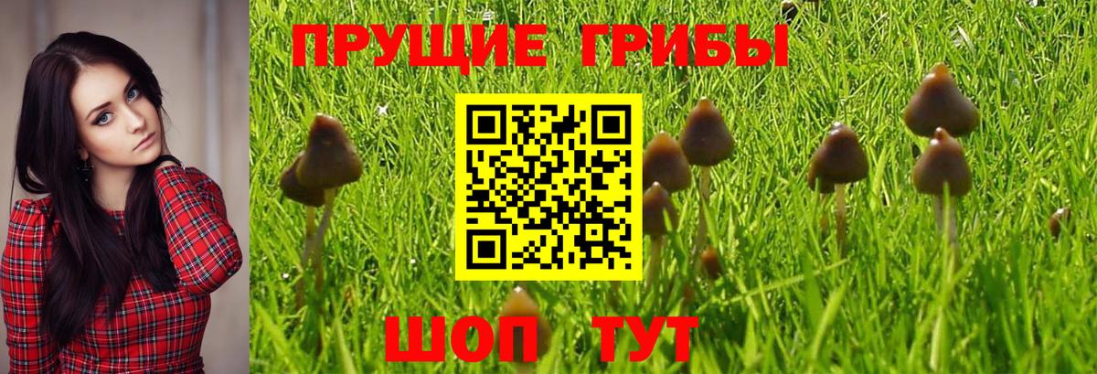 Ипатово  Галлюциногенные грибы MAGIC MUSHROOMS  Вход с VPN  Галлюциногенные грибы MAGIC MUSHROOMS 